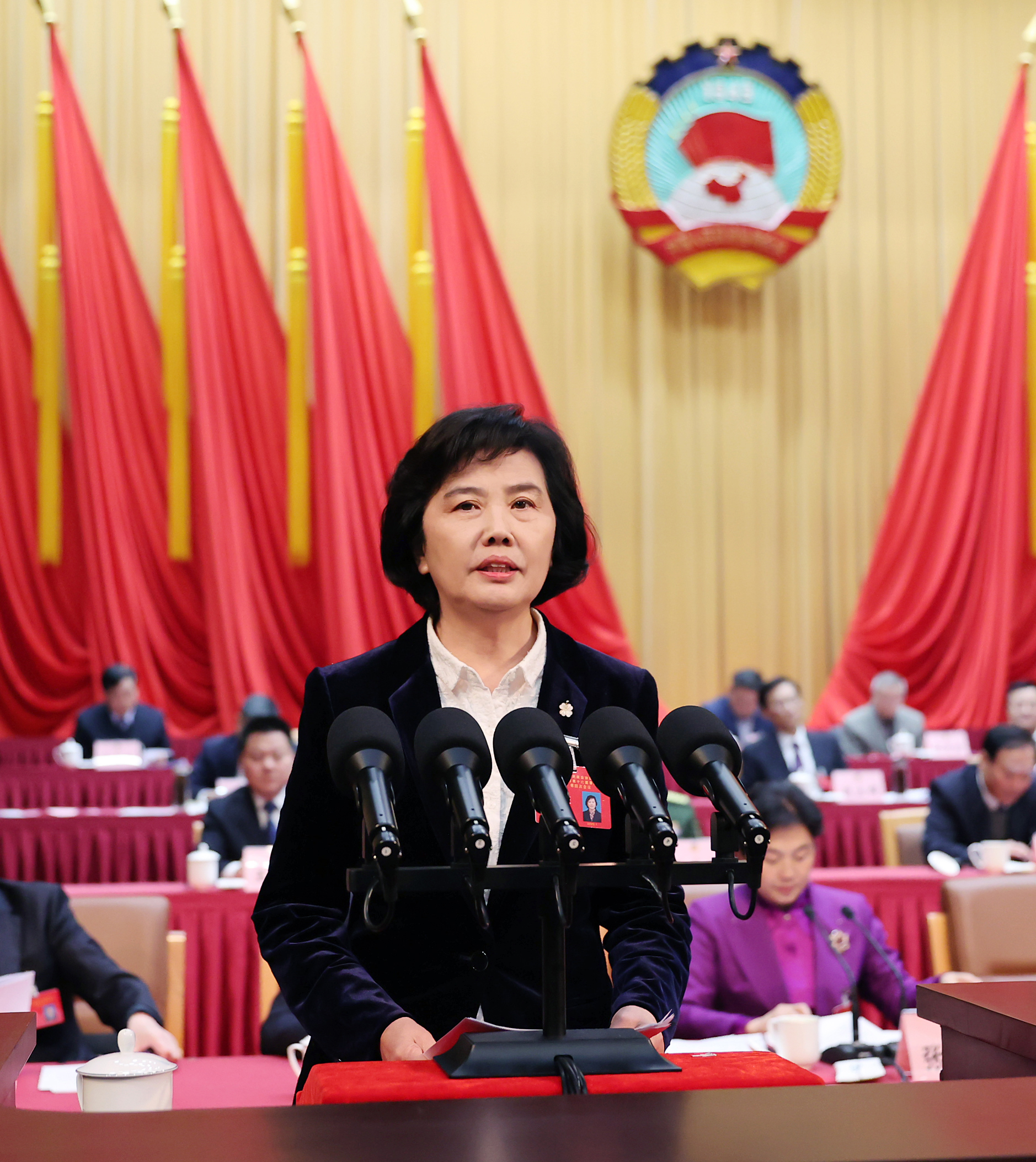市政協副主席李玉娟作十六屆四次會議提案工作報告