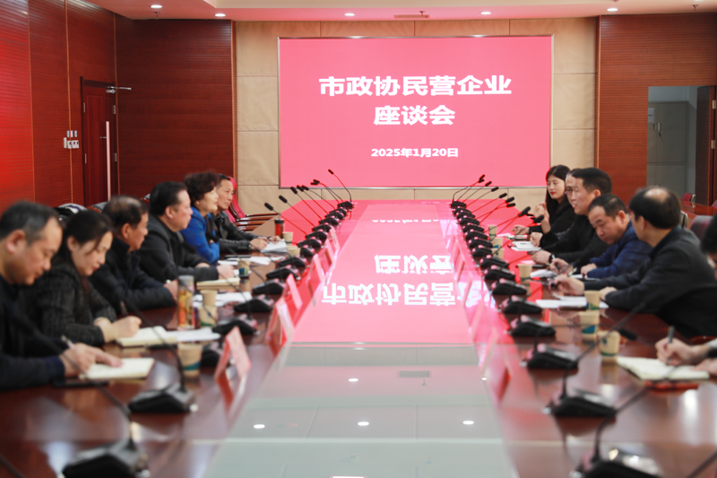 邱成副主席赴云龍區召開民營企業家座談會