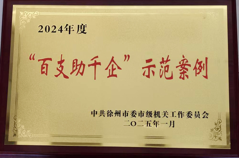市政協(xié)專二支部獲評2024年度“百支助千企”示范案例