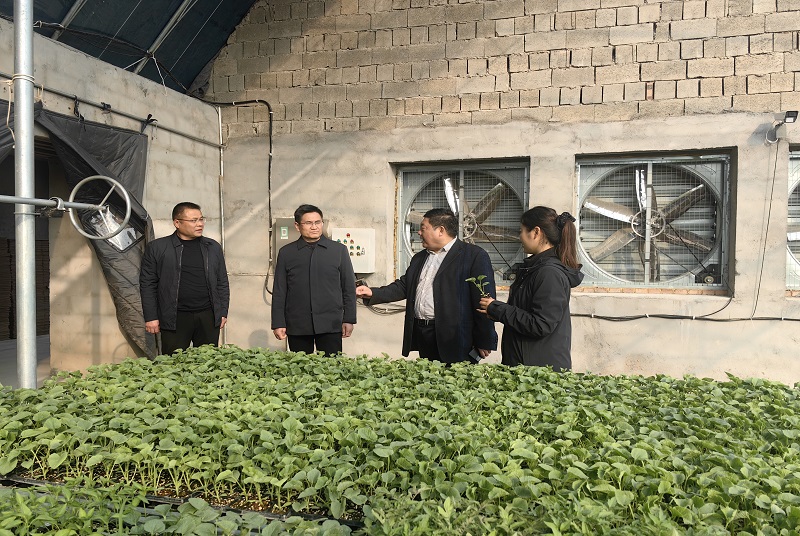邳州市政協(xié)領(lǐng)導走訪調(diào)研農(nóng)業(yè)界委員企業(yè)