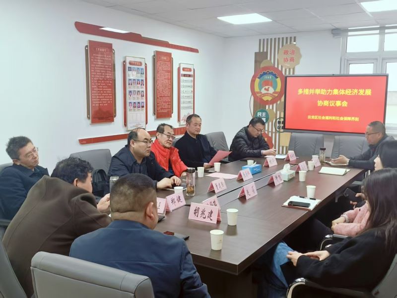 云龍區政協社會福利和社會保障界召開“助力集體經濟發展”協商議事會