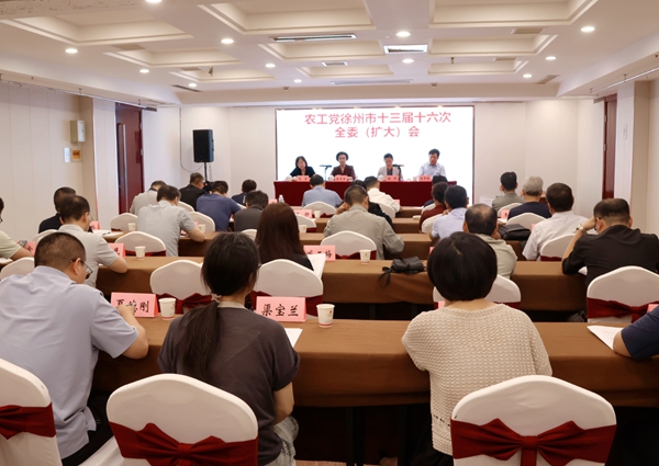 農工黨徐州市十三屆十六次全委(擴大)會議召開