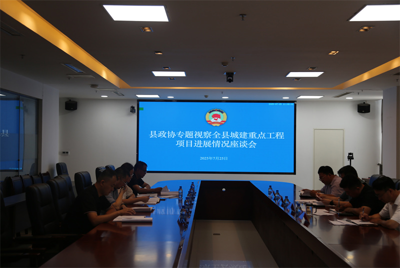 沛縣政協專題視察全縣2025年城建重點工程建設進展情況