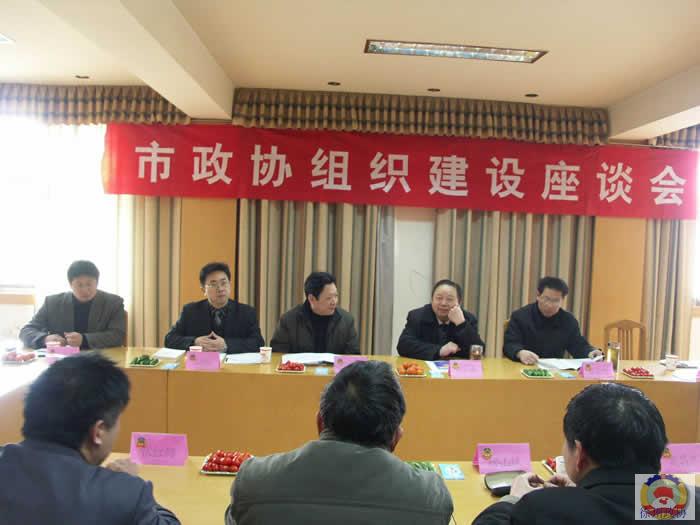 市政協就“換屆前的政協組織建設”進行調研