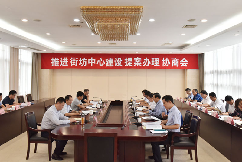 市領導帶隊督辦街坊中心建設和管理重點提案