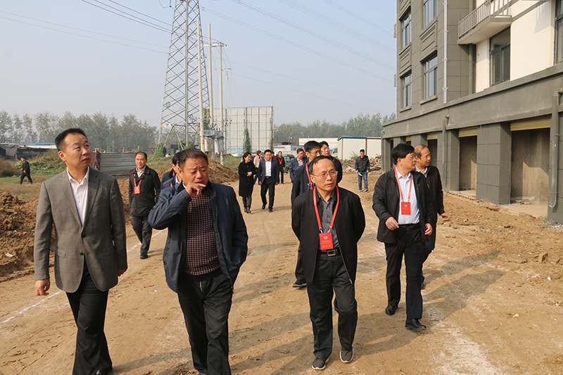 豐縣政協視察改善農民群眾住房條件工作