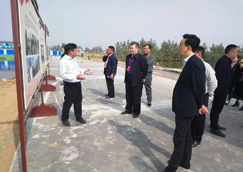 邳州市政協委員調研農民住房條件改善工作