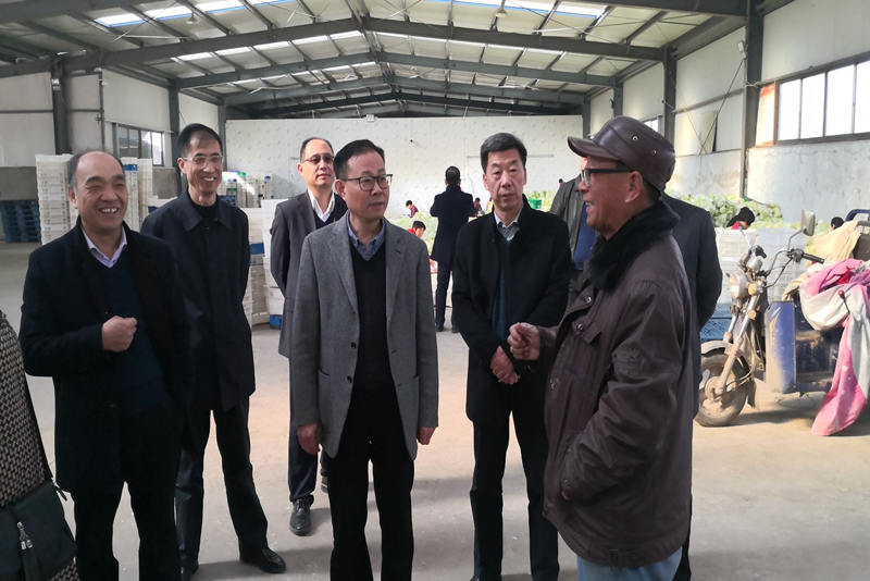 市政協農業和農村界委員視察我市外延蔬菜基地建設情況