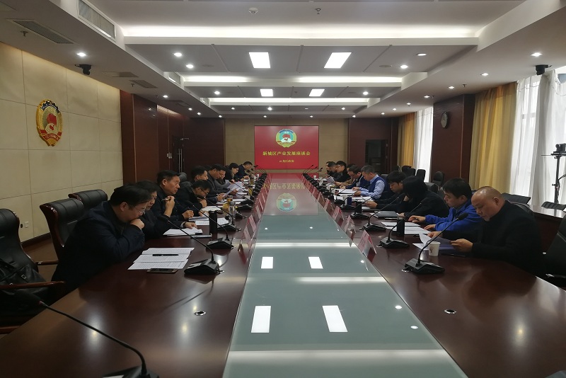 云龍區政協召開新城區產業發展座談會