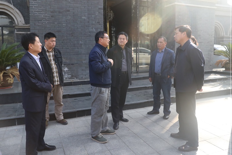 云龍區政協組織“復興老徐州歷史文化帶”專題調研