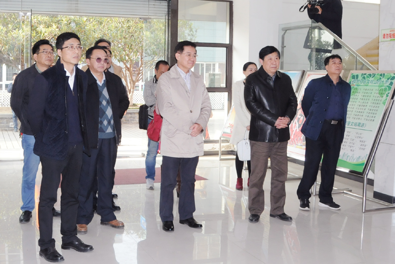 海南省政協來徐調研推進基層協商民主建設工作