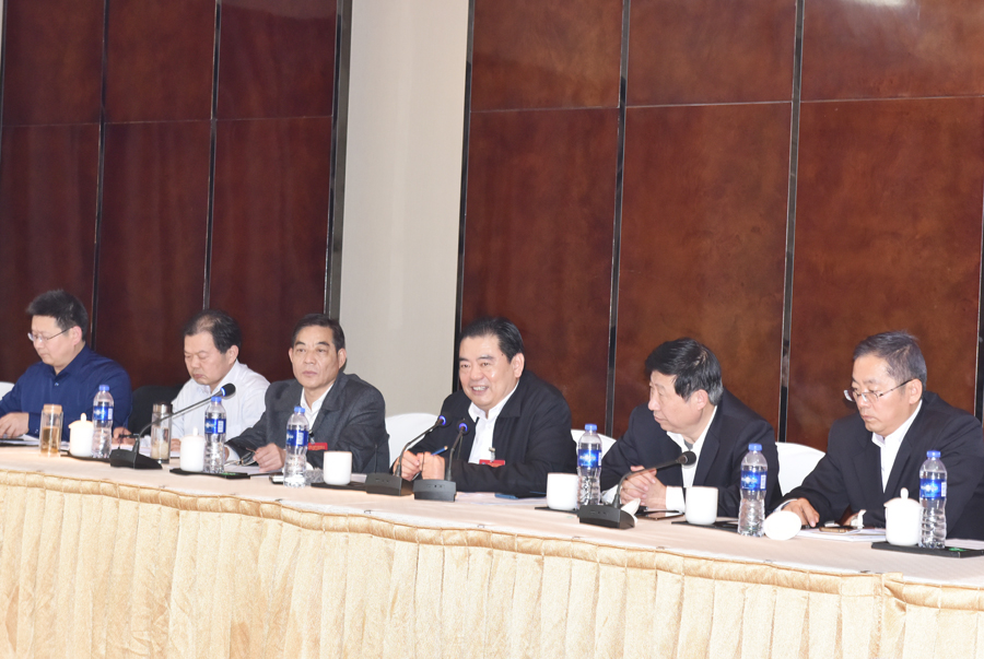 市政協主席王安順參加云龍代表團分組審議和特邀界別委員小組討論會