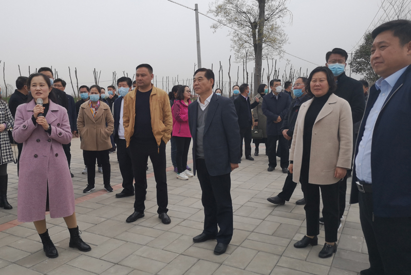 新沂市政協(xié)視察公共空間治理和農(nóng)村人居環(huán)境整治工作
