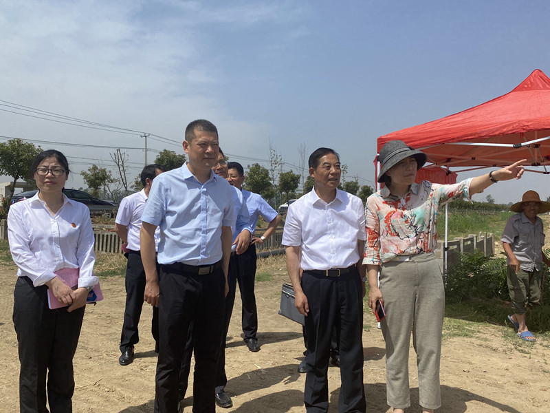 新沂市政協赴新店鎮調研
