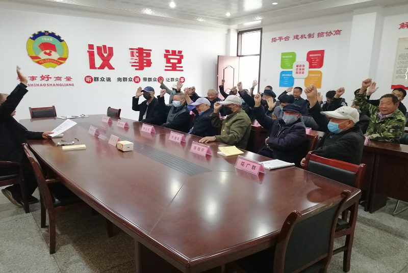 新河鎮：協商議事凝聚發展正能量