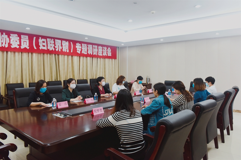市政協(xié)婦聯(lián)界別開展專題調(diào)研