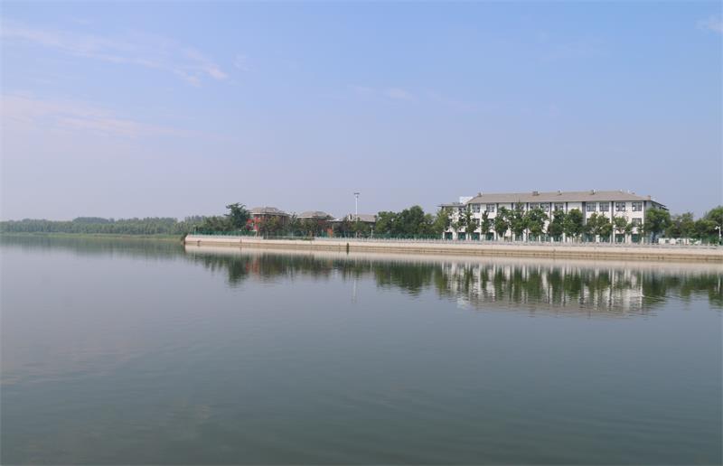 800.jpg