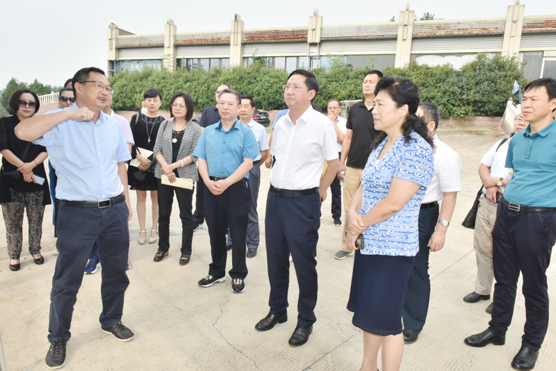 市領導帶隊督辦市政協重點提案