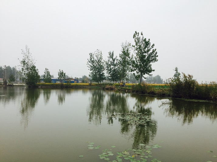 協(xié)商助扶貧 同走小康路