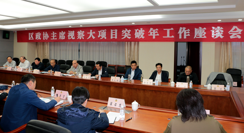 銅山區(qū)政協(xié)組織開展“大項(xiàng)目突破年” 主席視察工作