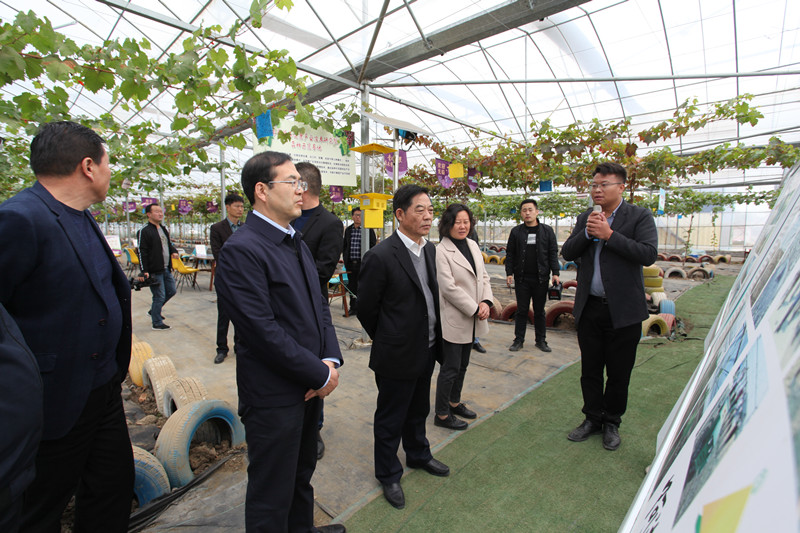 新沂市政協開展“實施三鄉工程，助推鄉村振興”重點協商活動