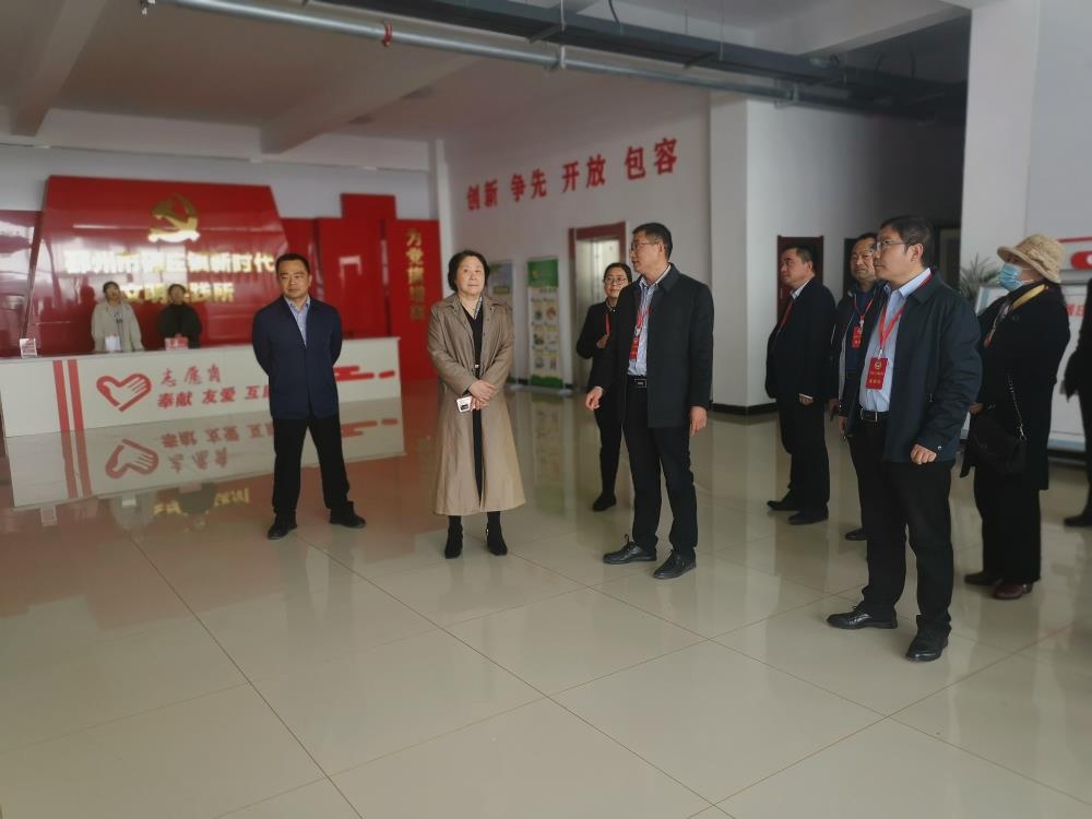 聚共識、聚人心、聚力量！邳州市碾莊鎮(zhèn)委員履職小組“三走進(jìn)一聯(lián)系”活動全面推進(jìn)