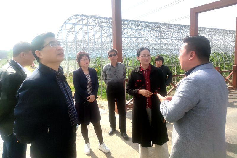 安徽省滁州市政協來徐學習考察
