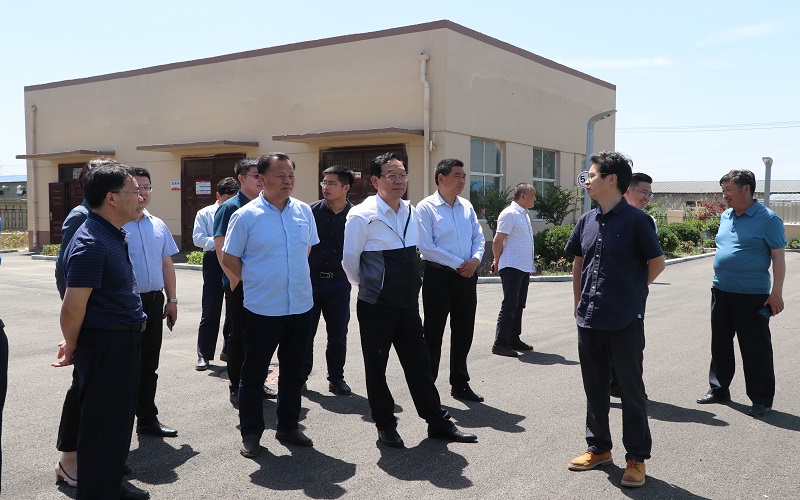銅山區政協主席視察鎮村污水處理設施建設運行工作