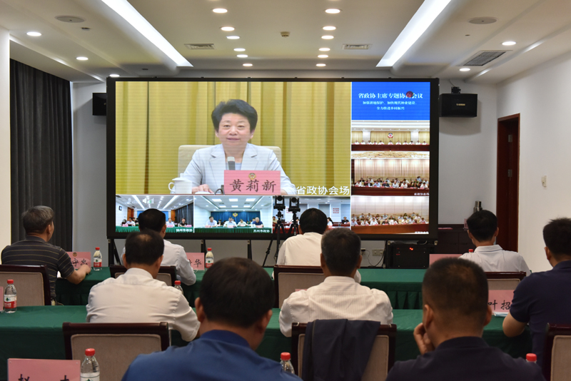 江蘇省政協召開主席專題協商會議　王安順出席徐州分會場