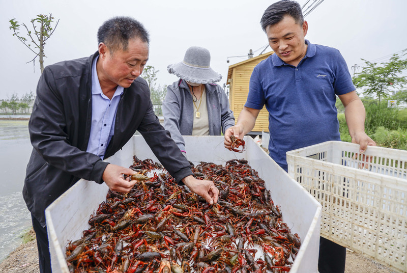 沛縣胡寨鎮(zhèn)吳雙樓村“有事好商量”商出鄉(xiāng)村振興新圖景