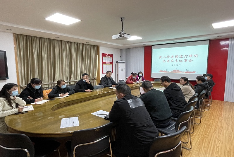 云龍：解決民生實事 照亮居民回家路
