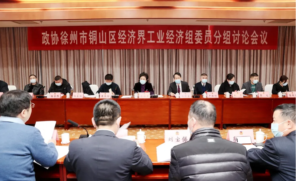 銅山區委書記龔維芳、區長高建民參加政協分組討論