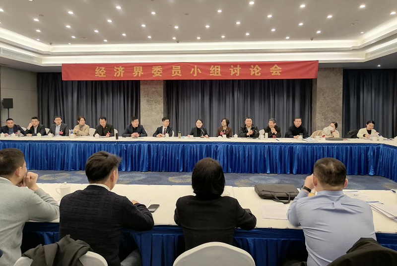 云龍區(qū)委副書記、區(qū)長陳婕深入政協(xié)小組聽取意見建議