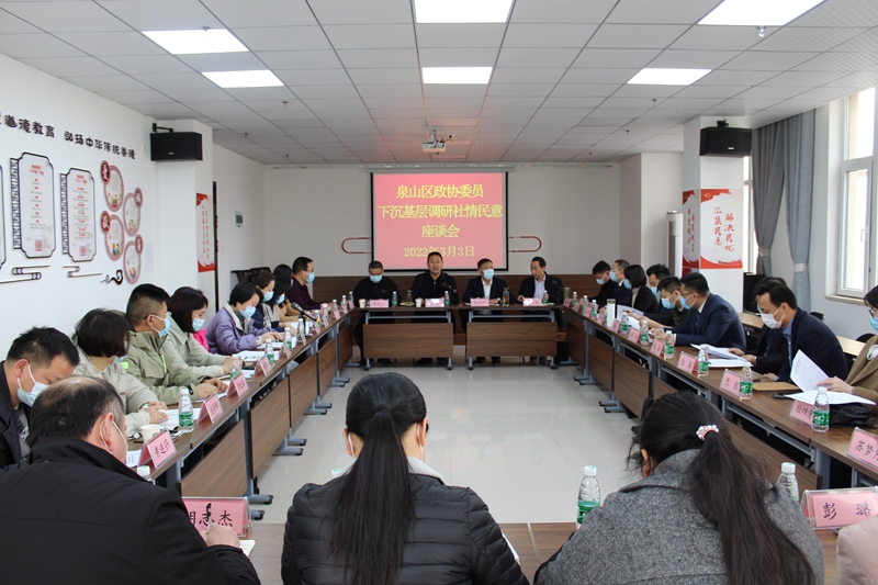 泉山區(qū)政協(xié)：深入基層察民情 履職擔(dān)當(dāng)解民憂