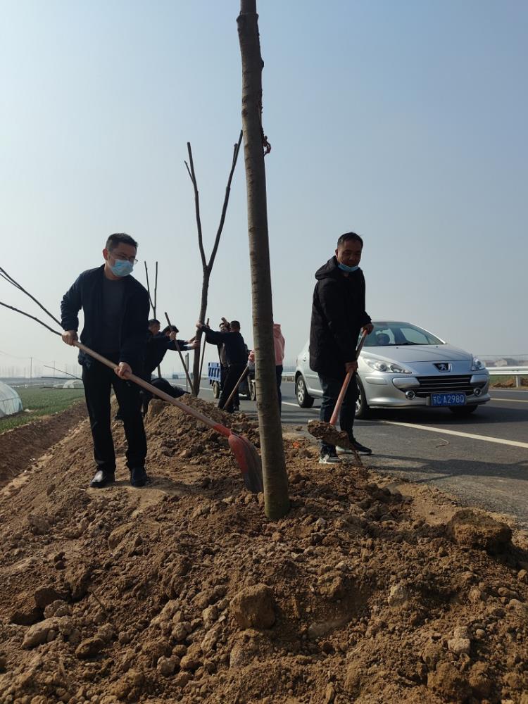 賈汪區政協工委組織委員開展義務植樹活動