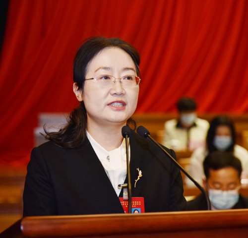 市政協十六屆一次會議大會發言摘編