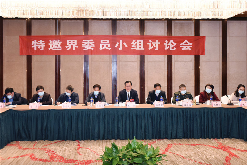 王強參加特邀界委員小組討論