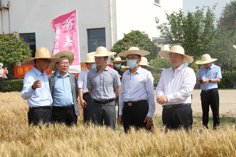 市政協開展“糧食安全與農業科技”專題線下讀書分享活動
