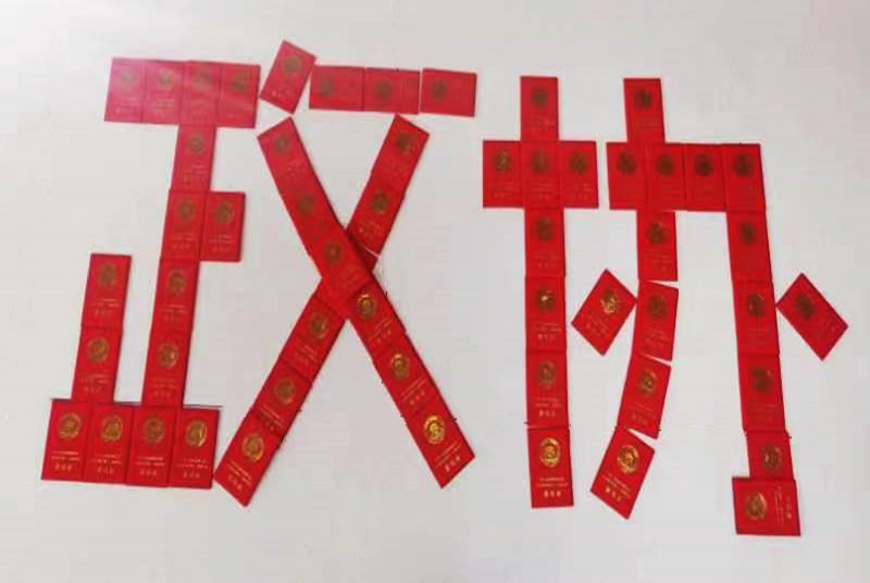 沛縣359名政協委員喜獲“身份證”