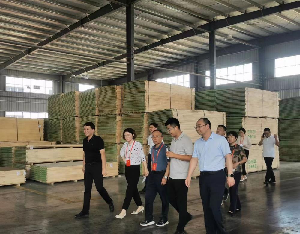 豐縣政協開展重點提案督辦協商活動