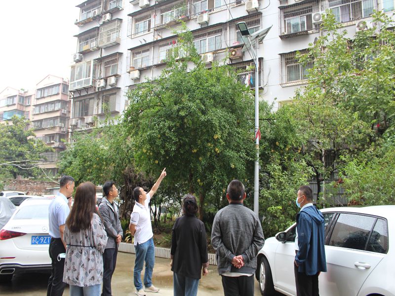 黨員委員用心用情照亮群眾回家的路 ——泉山區政協“‘泉’心委員法律服務團”助力辦好百姓實事紀實