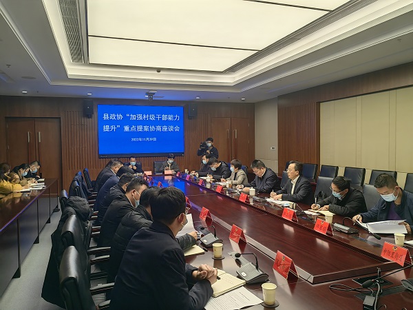 豐縣政協召開“加強村級干部能力提升”重點提案協商座談會