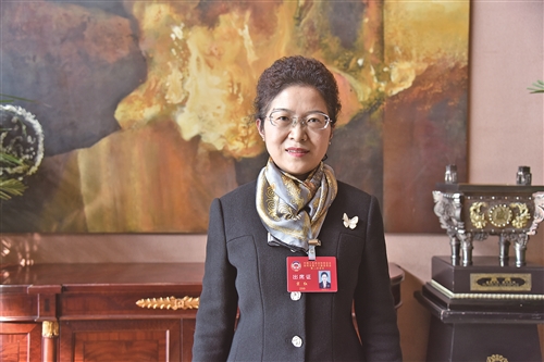 抓實項目建設 引領文旅融合——專訪市政協委員、市文廣旅局副局長宗紅