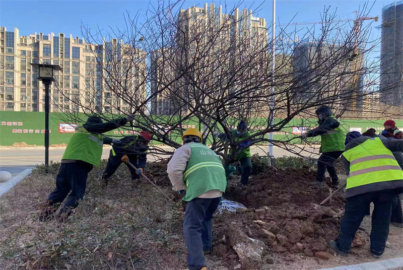 寸寸用心 久久為功——沛縣用政協智慧繪制可觀可感的園林圖景