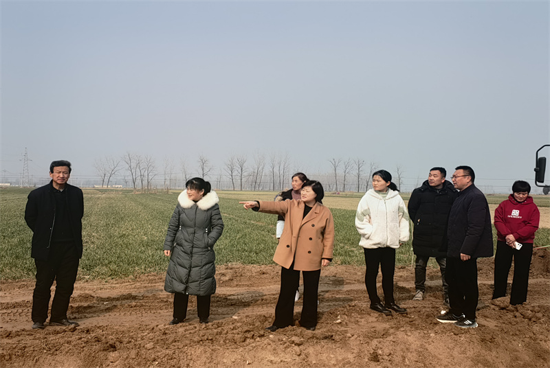沛縣河口鎮：政協委員深入田間地頭助力春耕生產