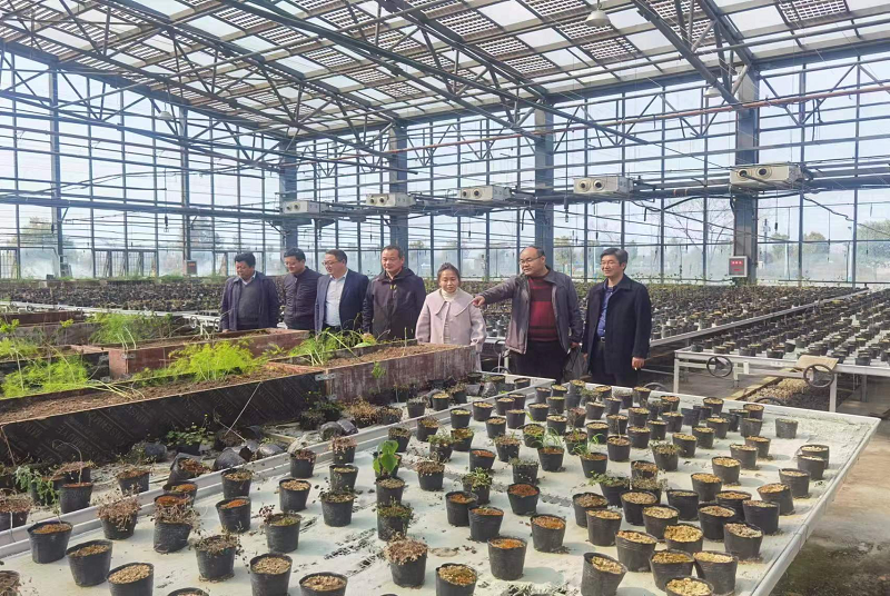 云龍區政協科學技術界、社會福利和社會保障界聯合開展專題調研活動