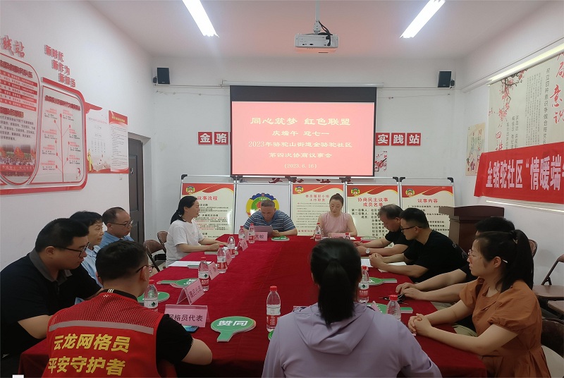 云龍：金駱駝社區開展“同心筑夢、紅色聯盟”暨慶端午迎“七一”協商民主議事會