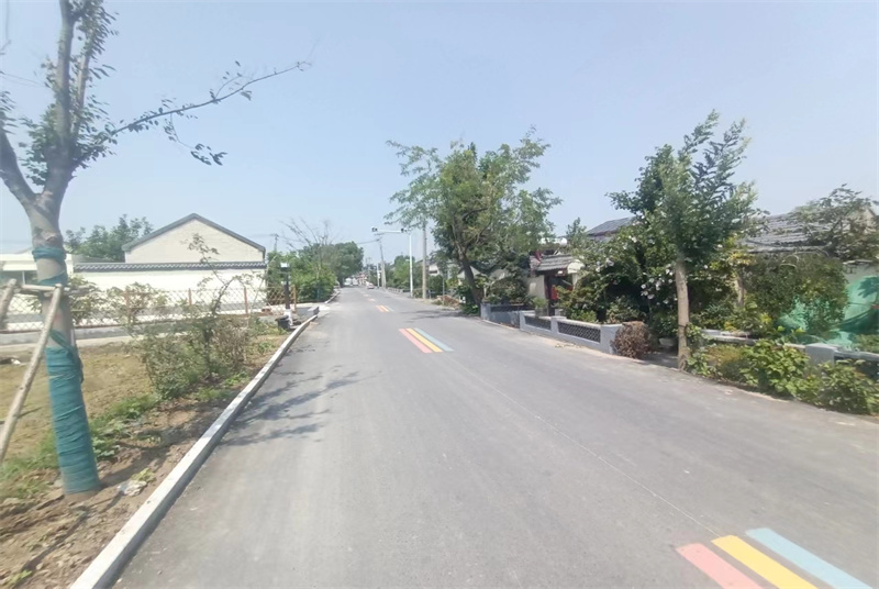 201.jpg