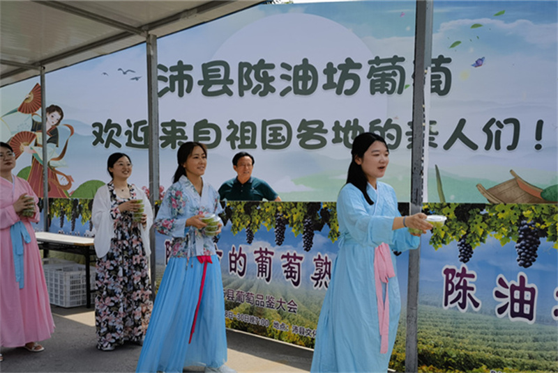 龍蝦“紅起來” 冷面“熱起來” 葡萄“火起來”——沛縣文產融合引爆“舌尖上的經濟”