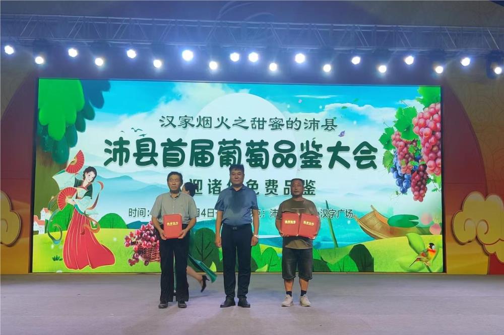 劉邦故里的葡萄熟了—— 沛縣政協委員視頻邀您一起來“萄”醉
